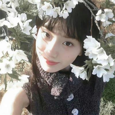哥伦比亚马戏团